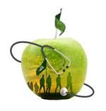 حفظ سلامت در سفر اربعین